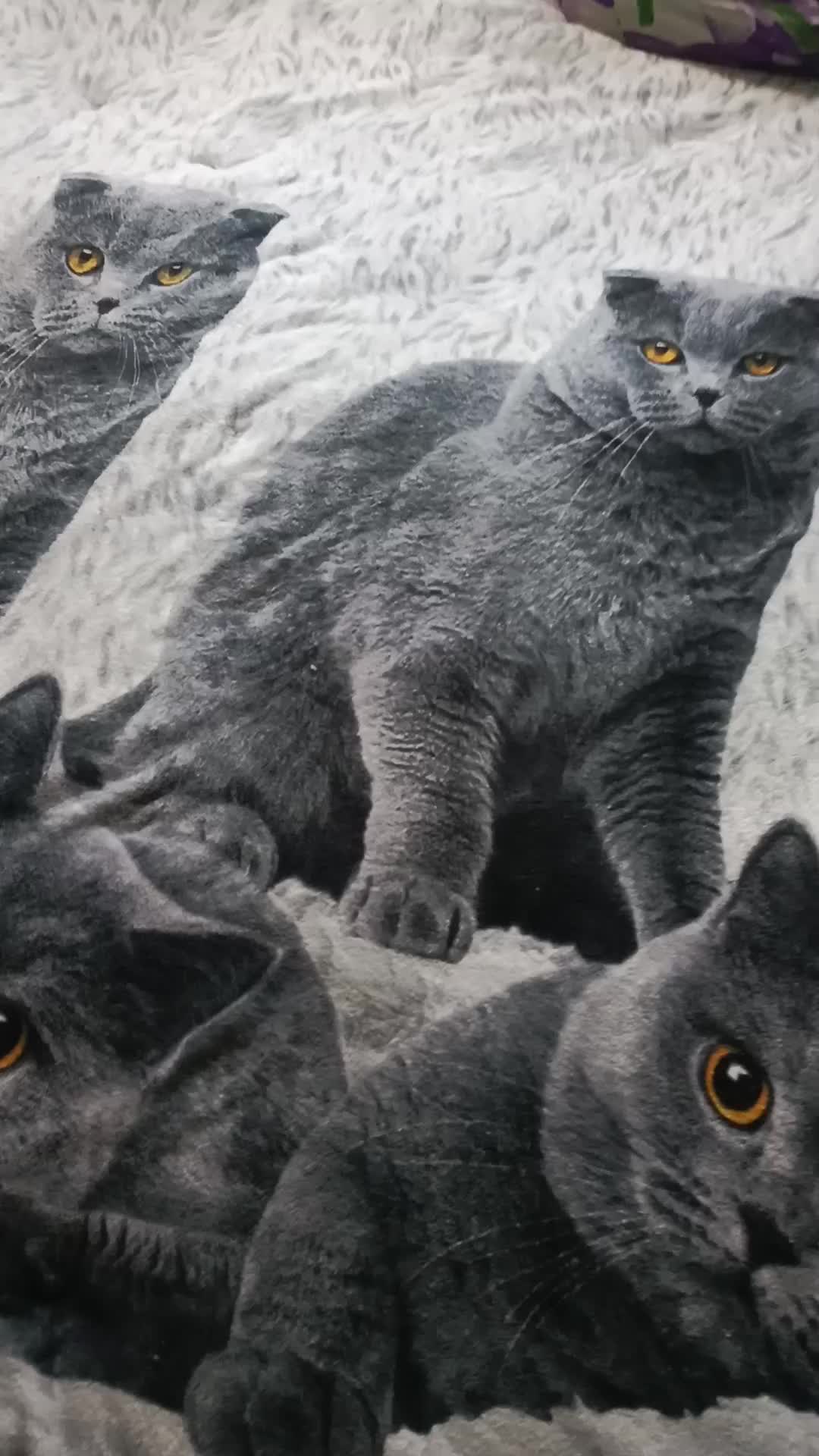 @ЖеНёК