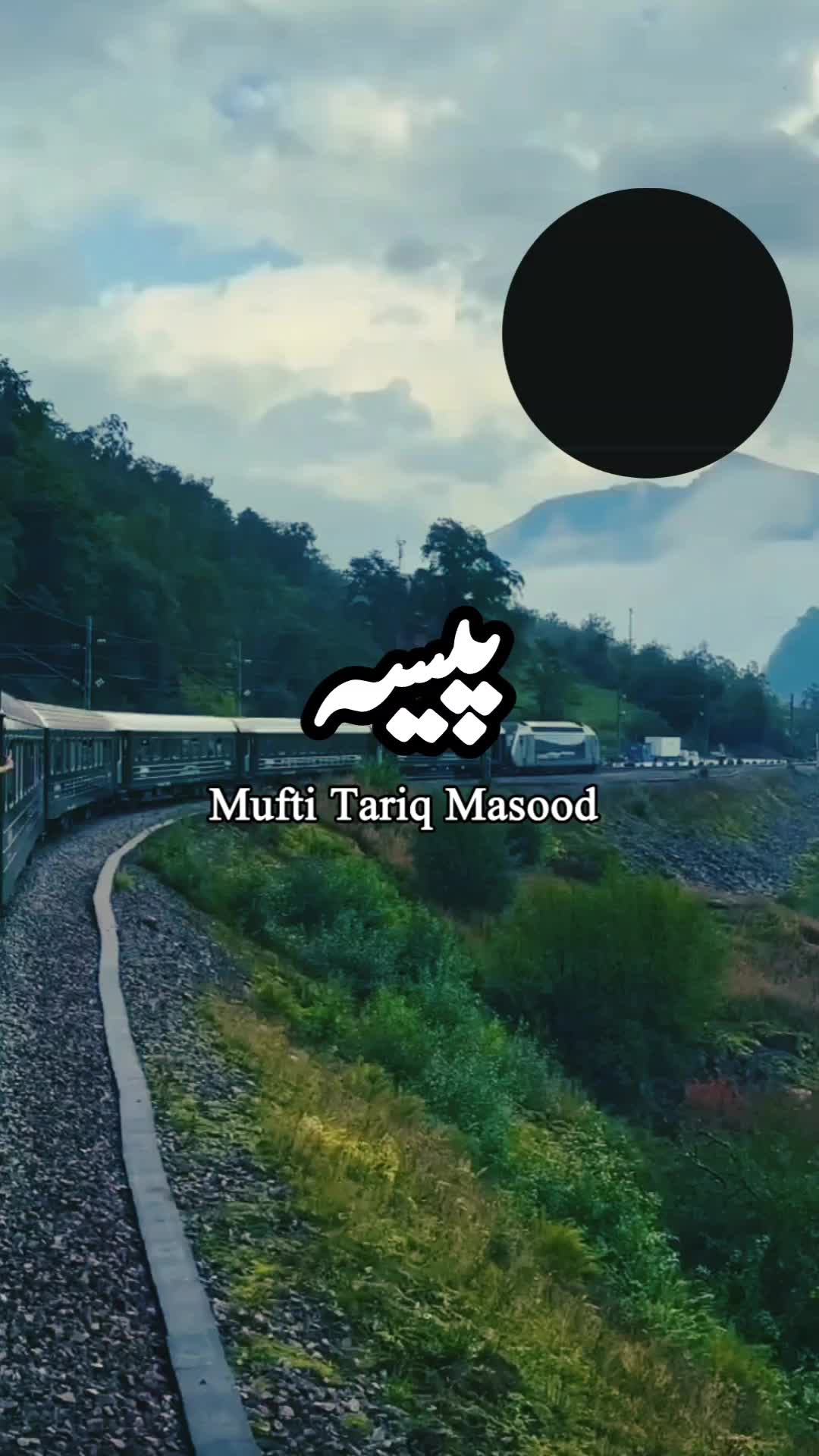 @zulfi khan