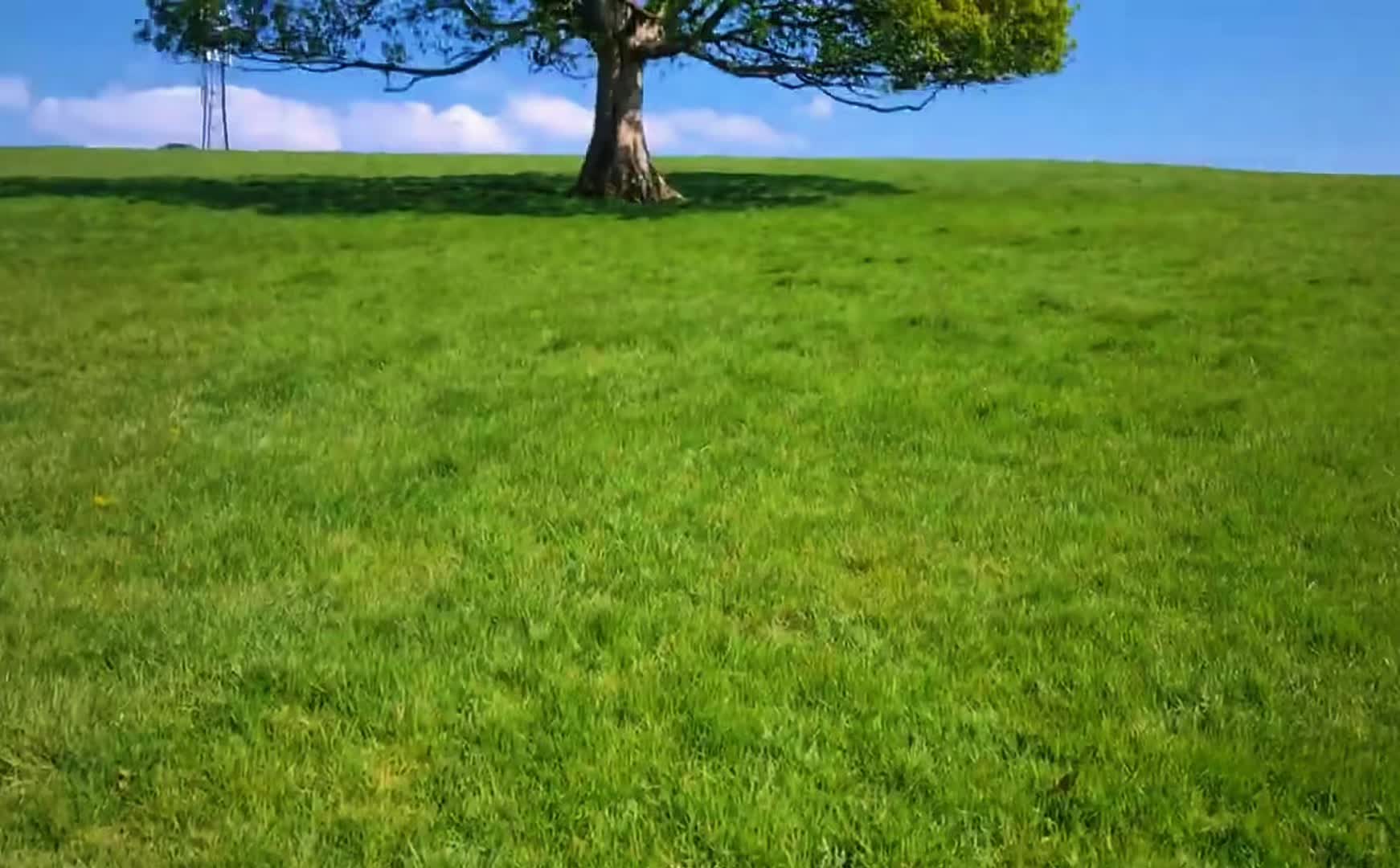 @—