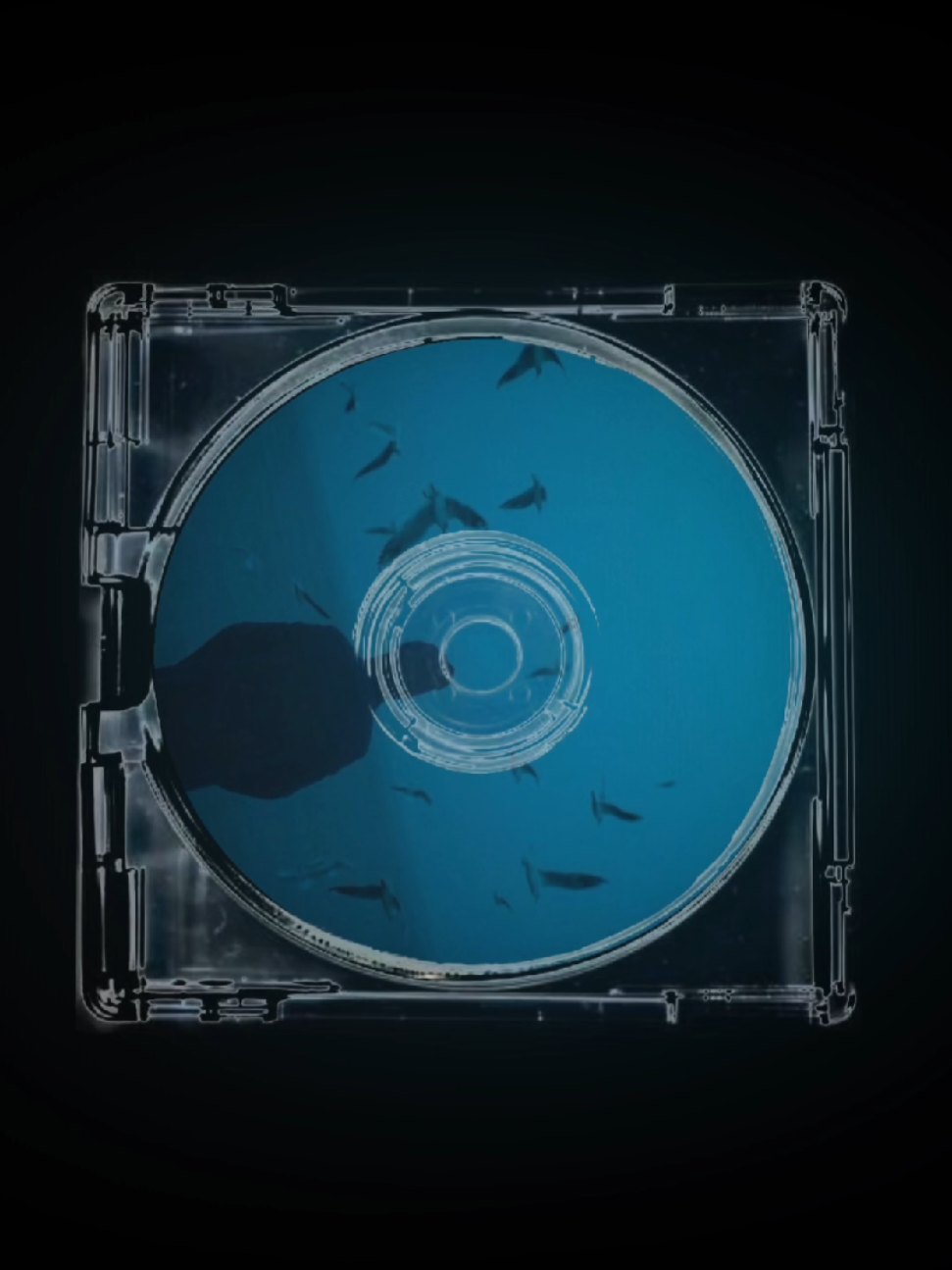 @𝖥𝖮𝖷