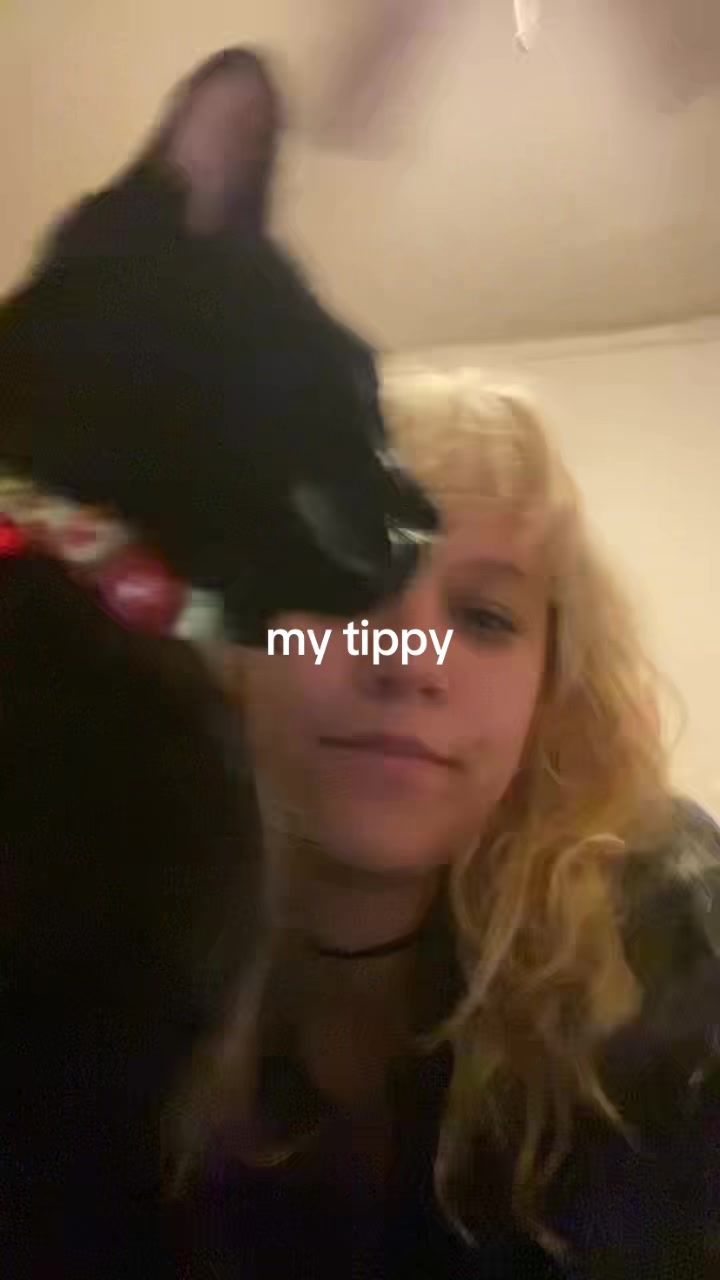 @ilovesleepyhead