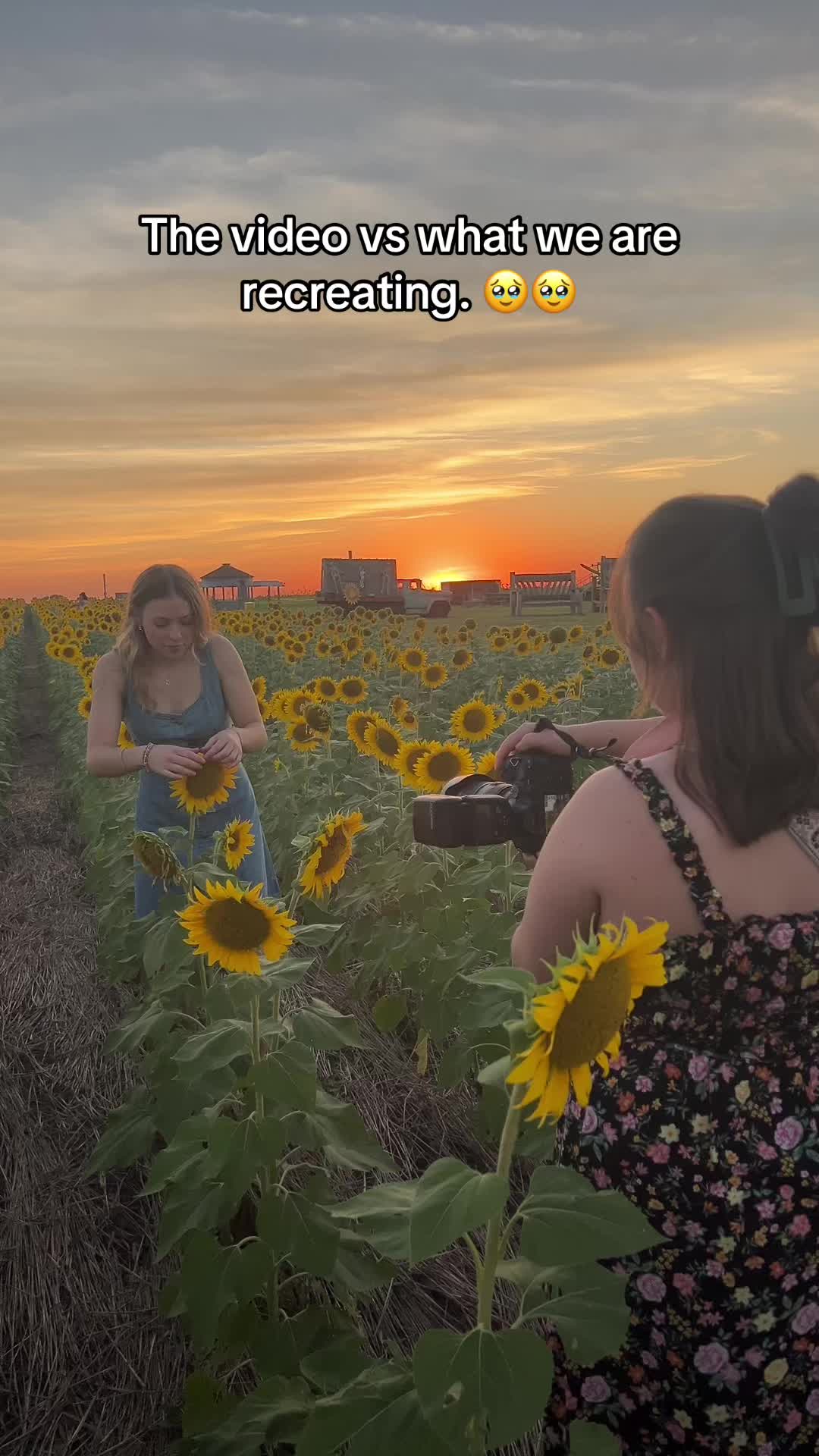@lifewithsoph