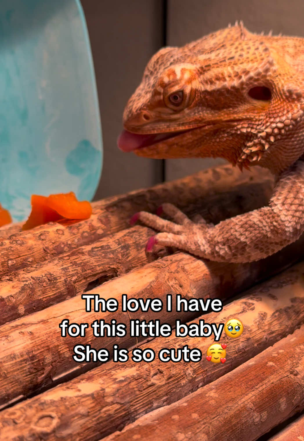@Kaitlyn Vendryes