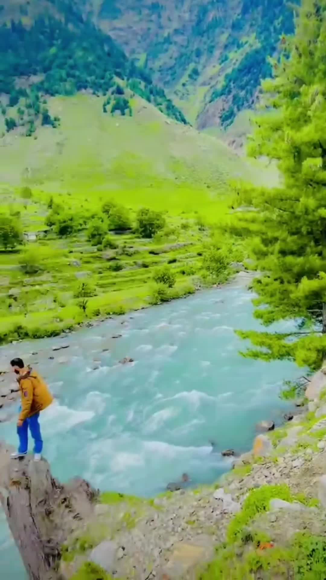 @zani 4t4🔥🚩