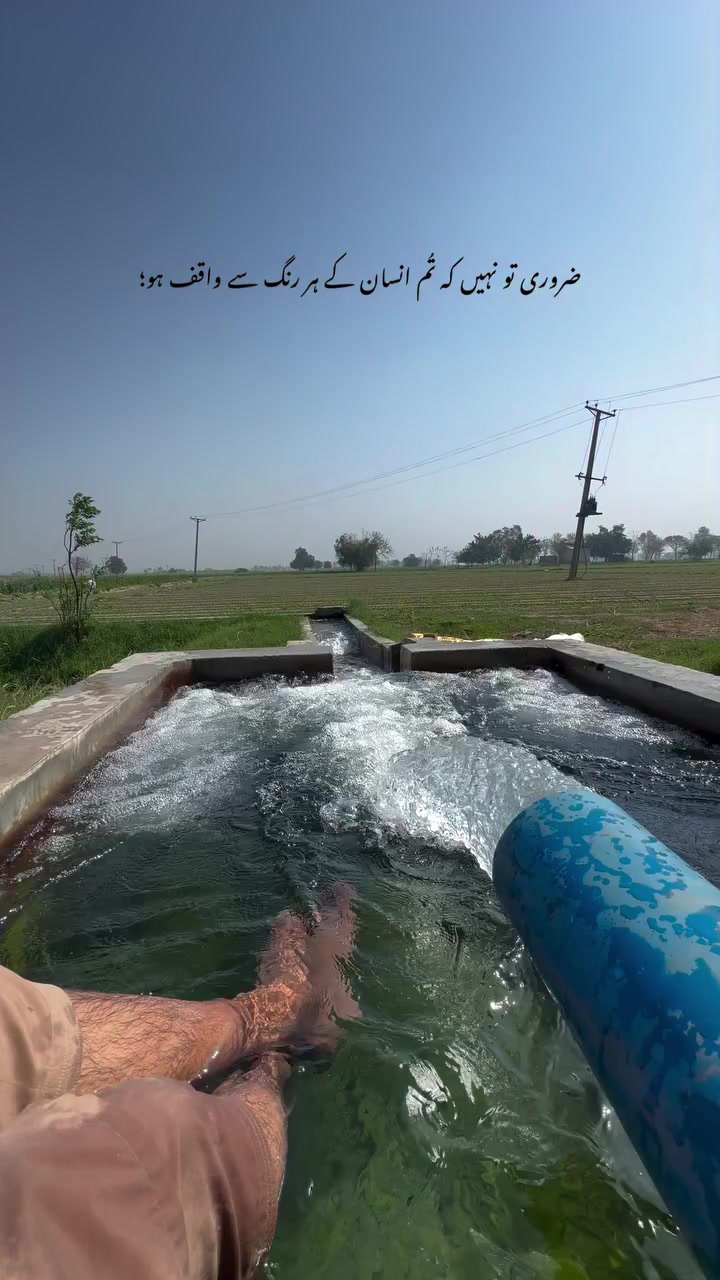 @ALi ⚜️🚩