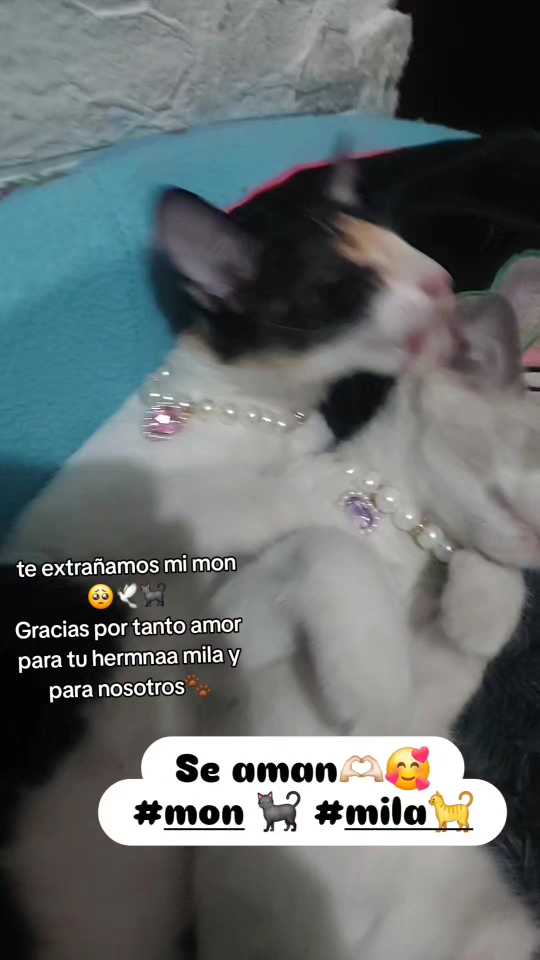 @Cristian Andres Bern