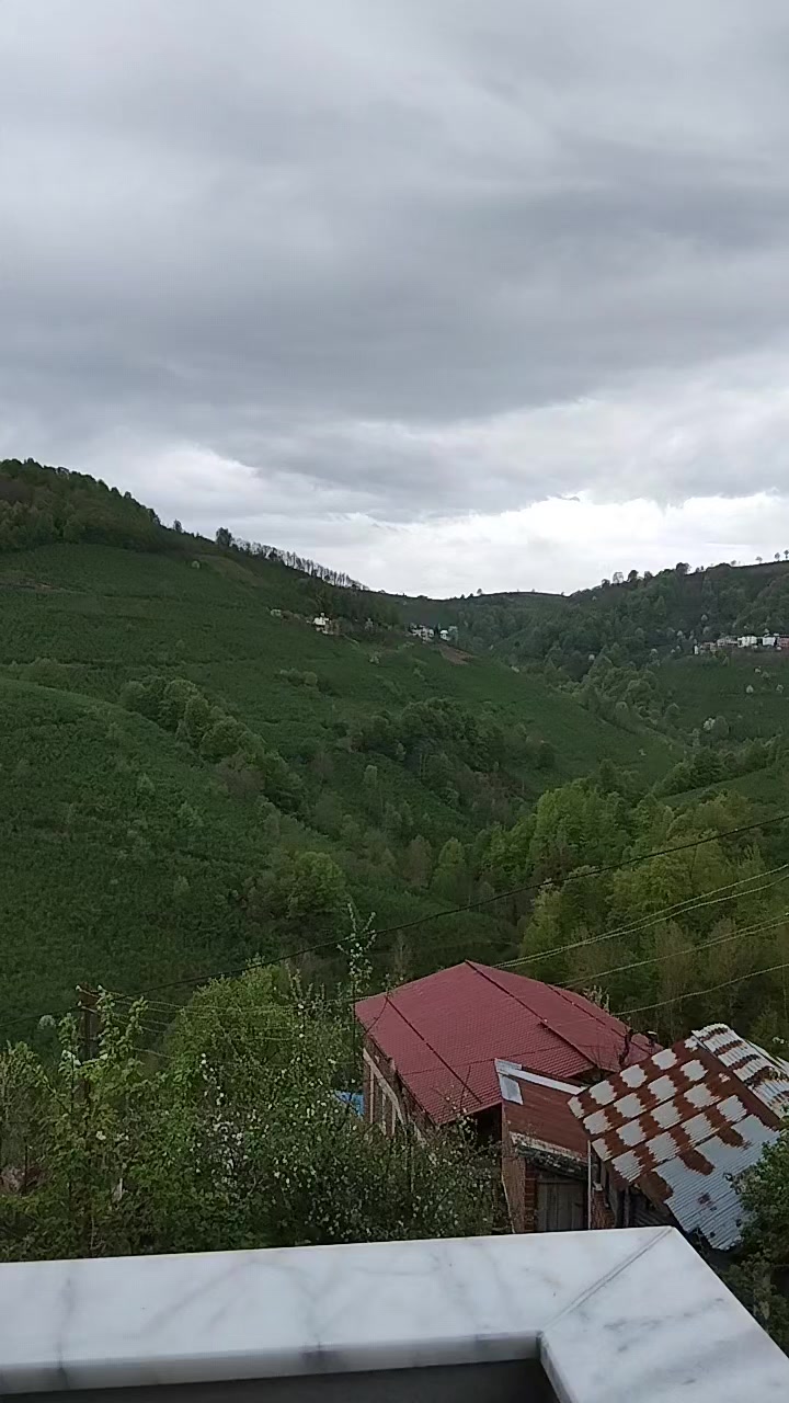@YoNcA🍀🍀🍀