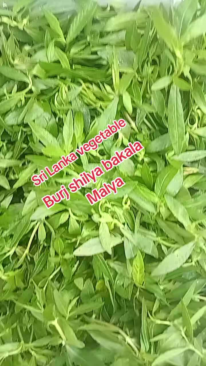@Josaph 1430