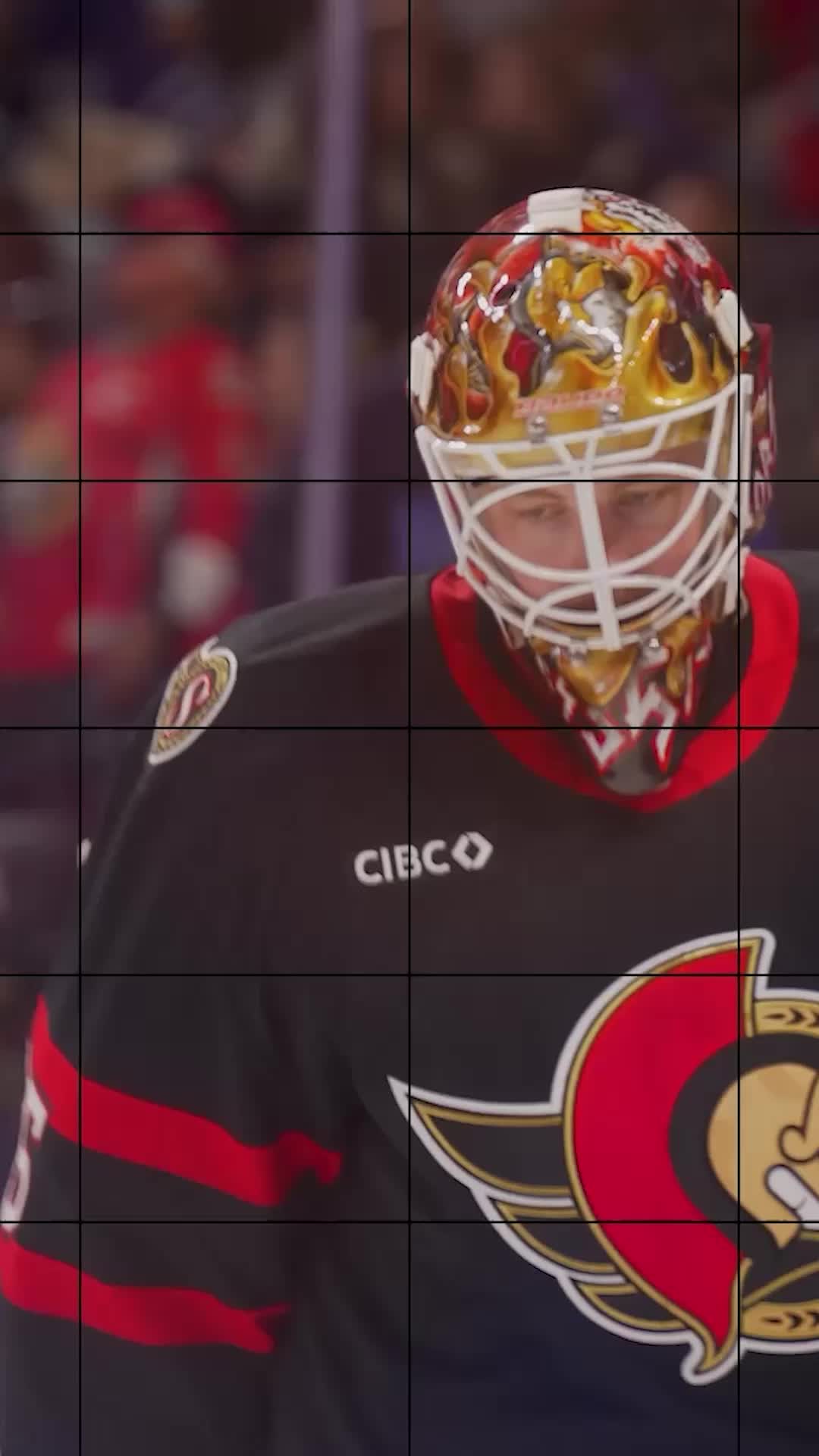 @Ottawa Senators