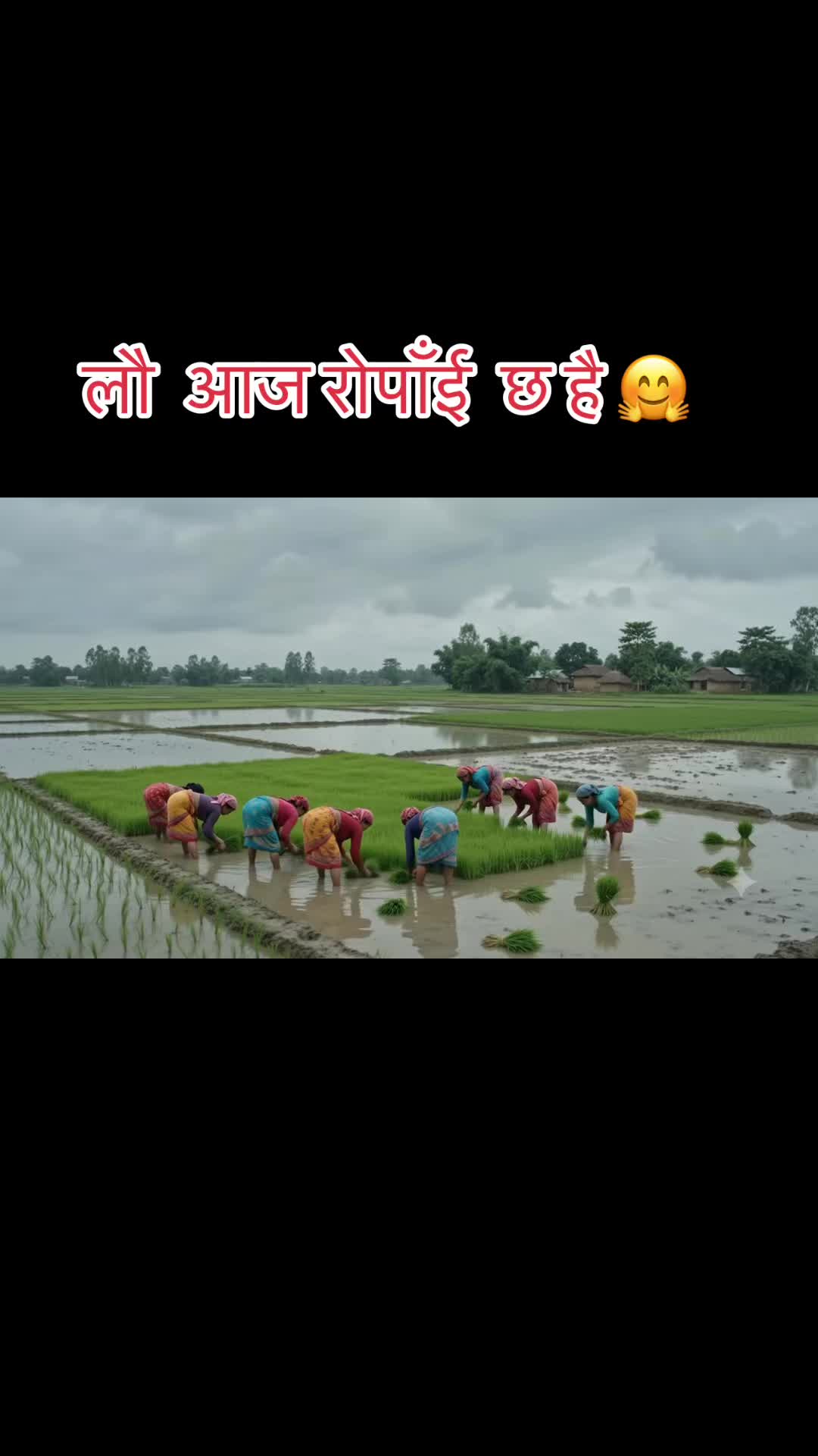 @सरोज भुसाल
