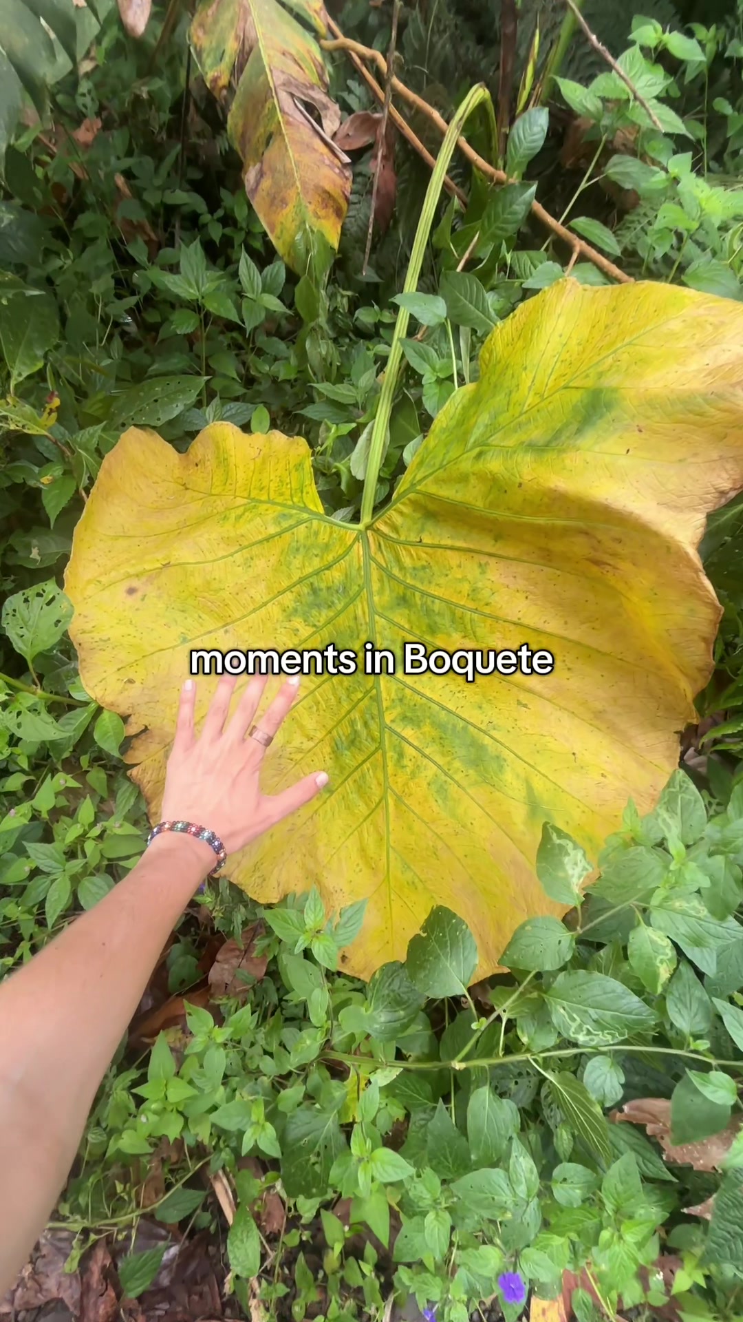 @Annie