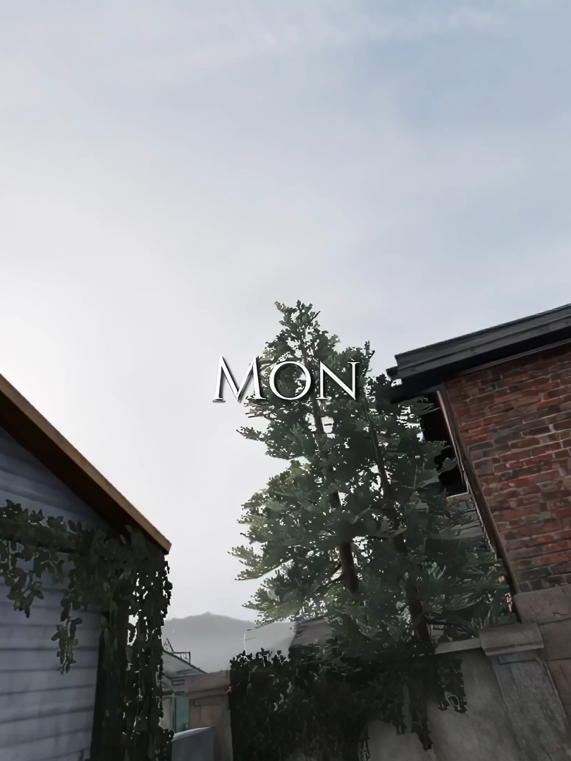 @Mon🥑