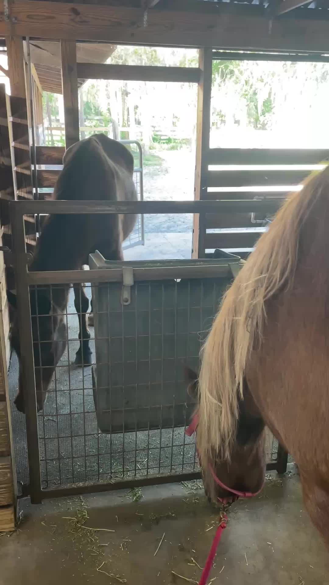 @Farmhouse Sanctuary
