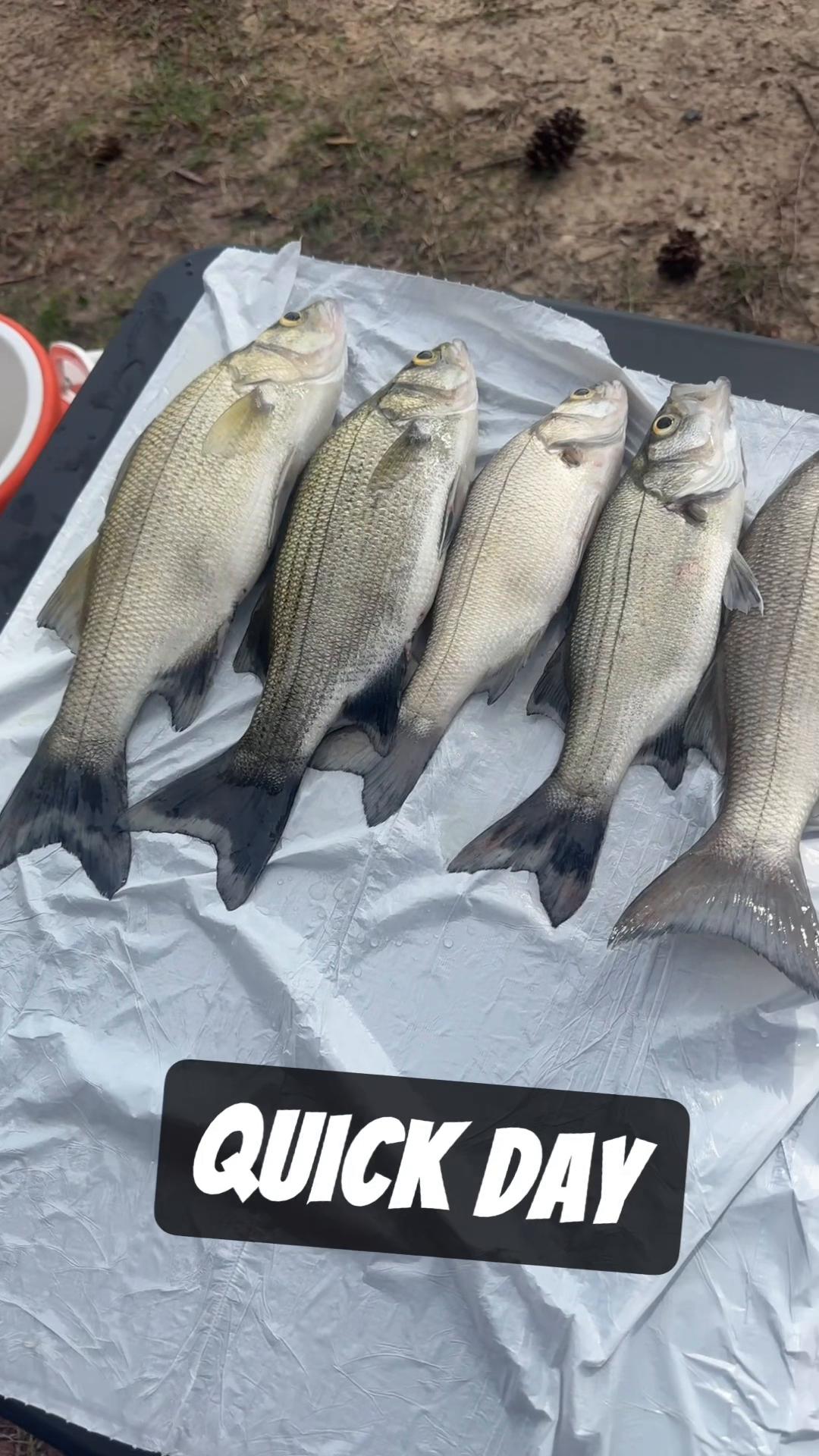 @MarcG4100
