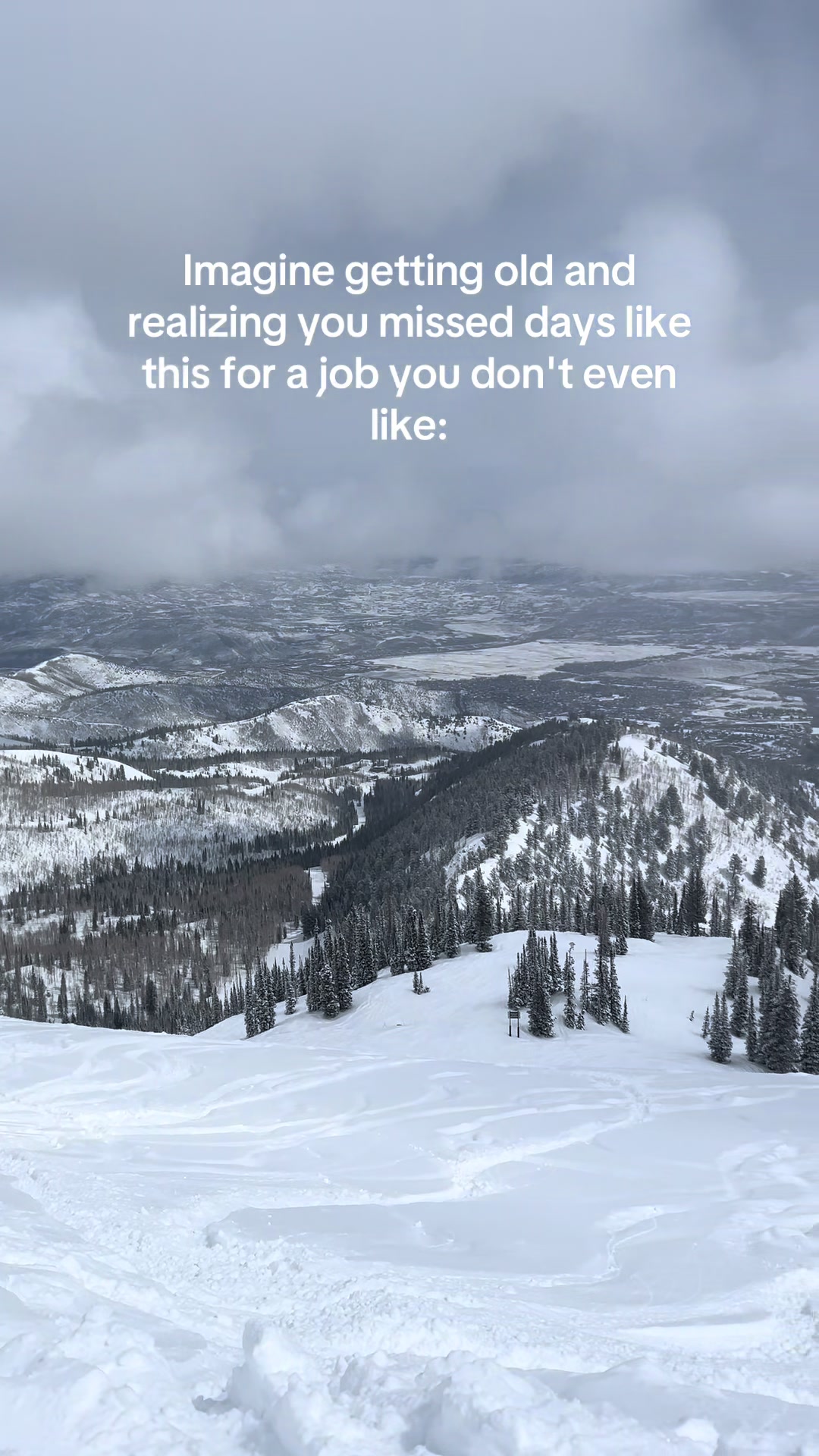 @ellie_snowboards