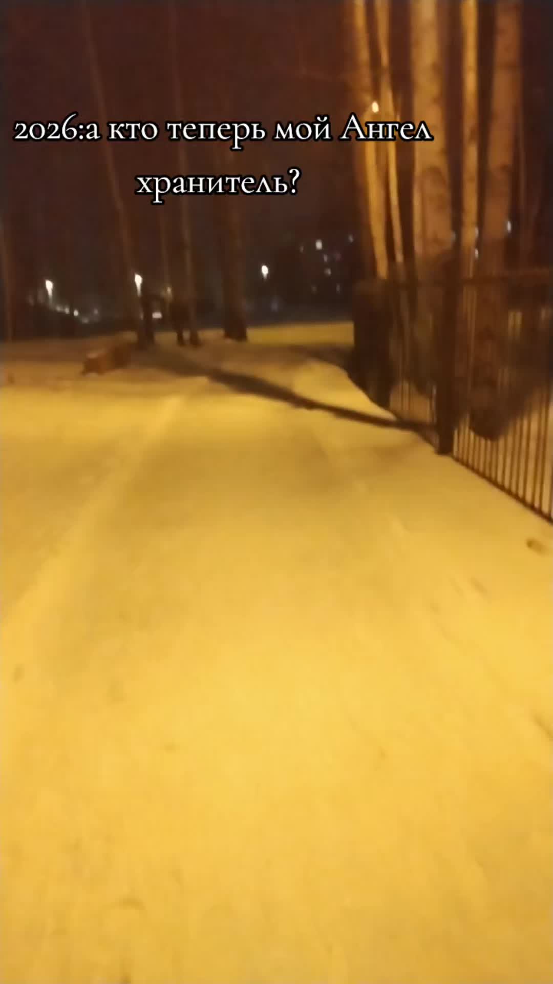 @Ксюся🌿