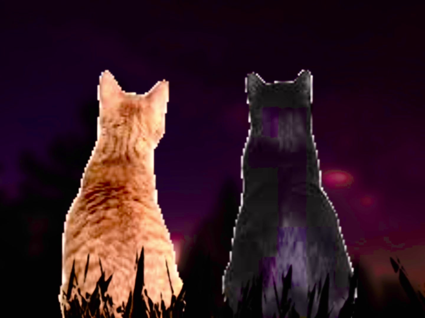 @meowster2008