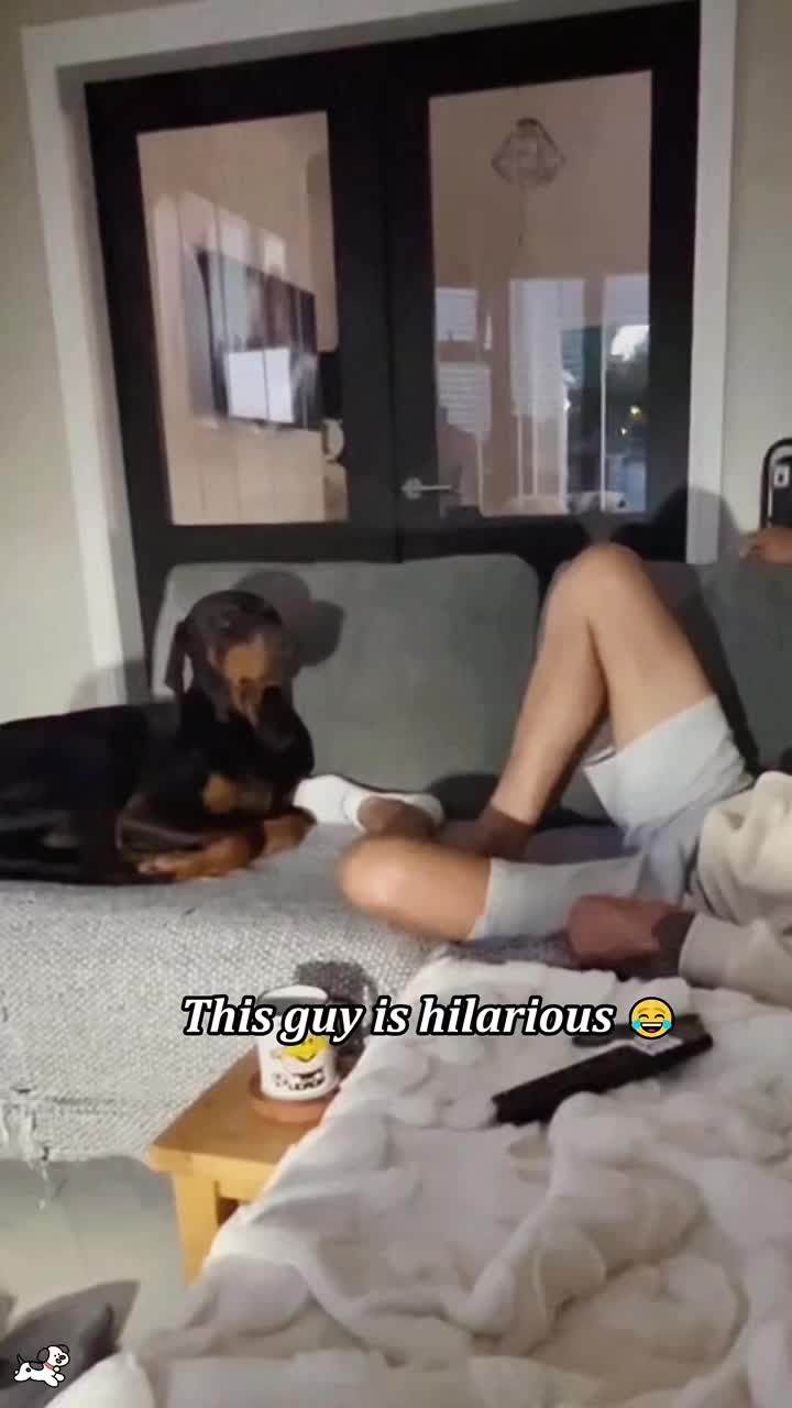 @SneakyFails