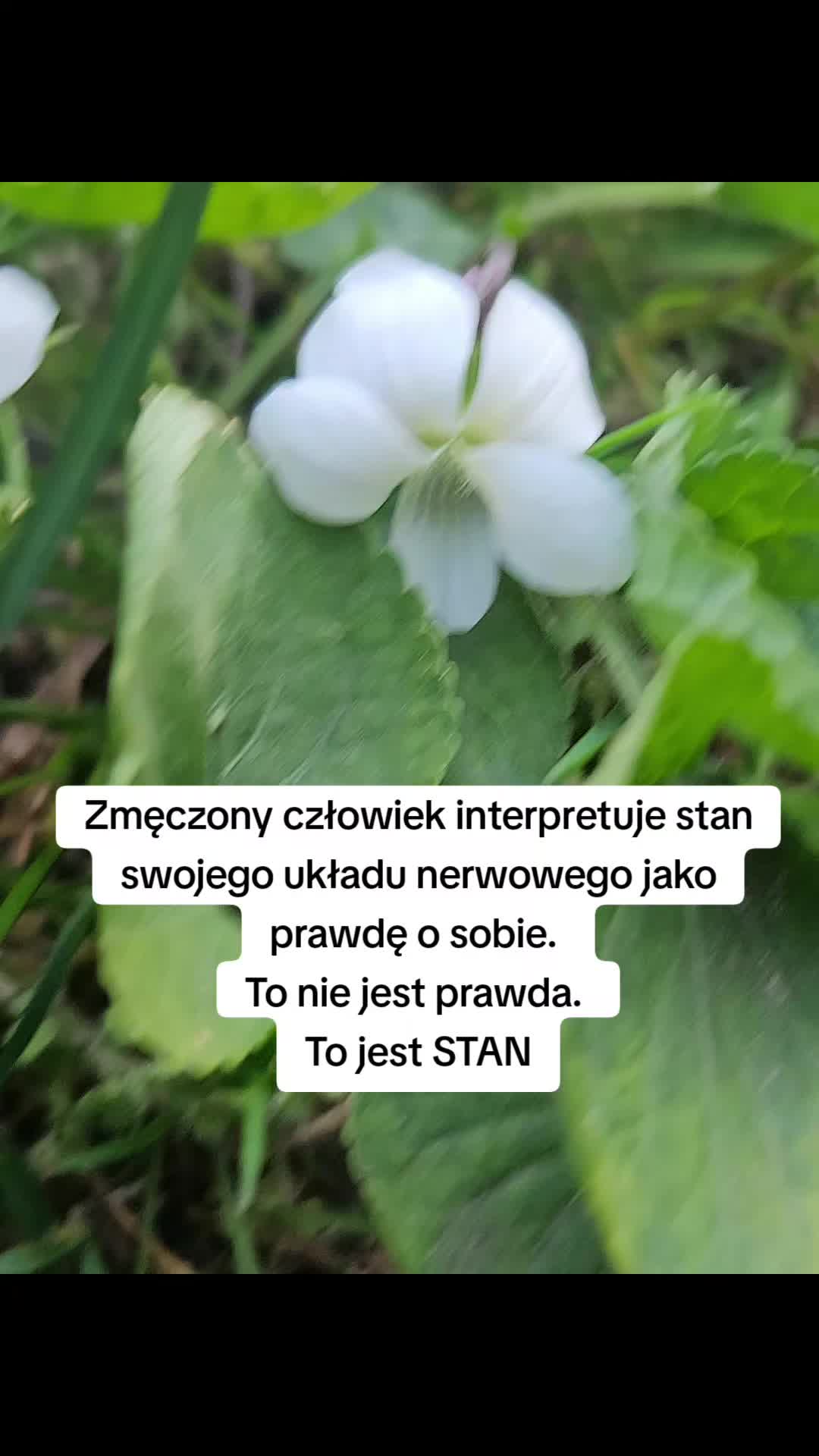 @AnnaStasiakSelfLove