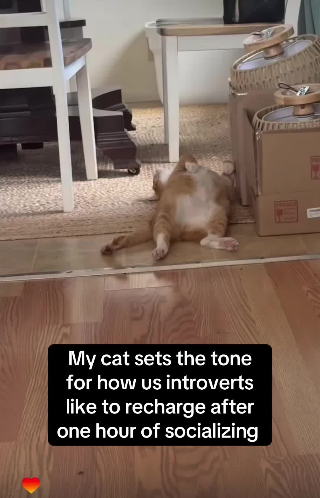 @DooDooCAT