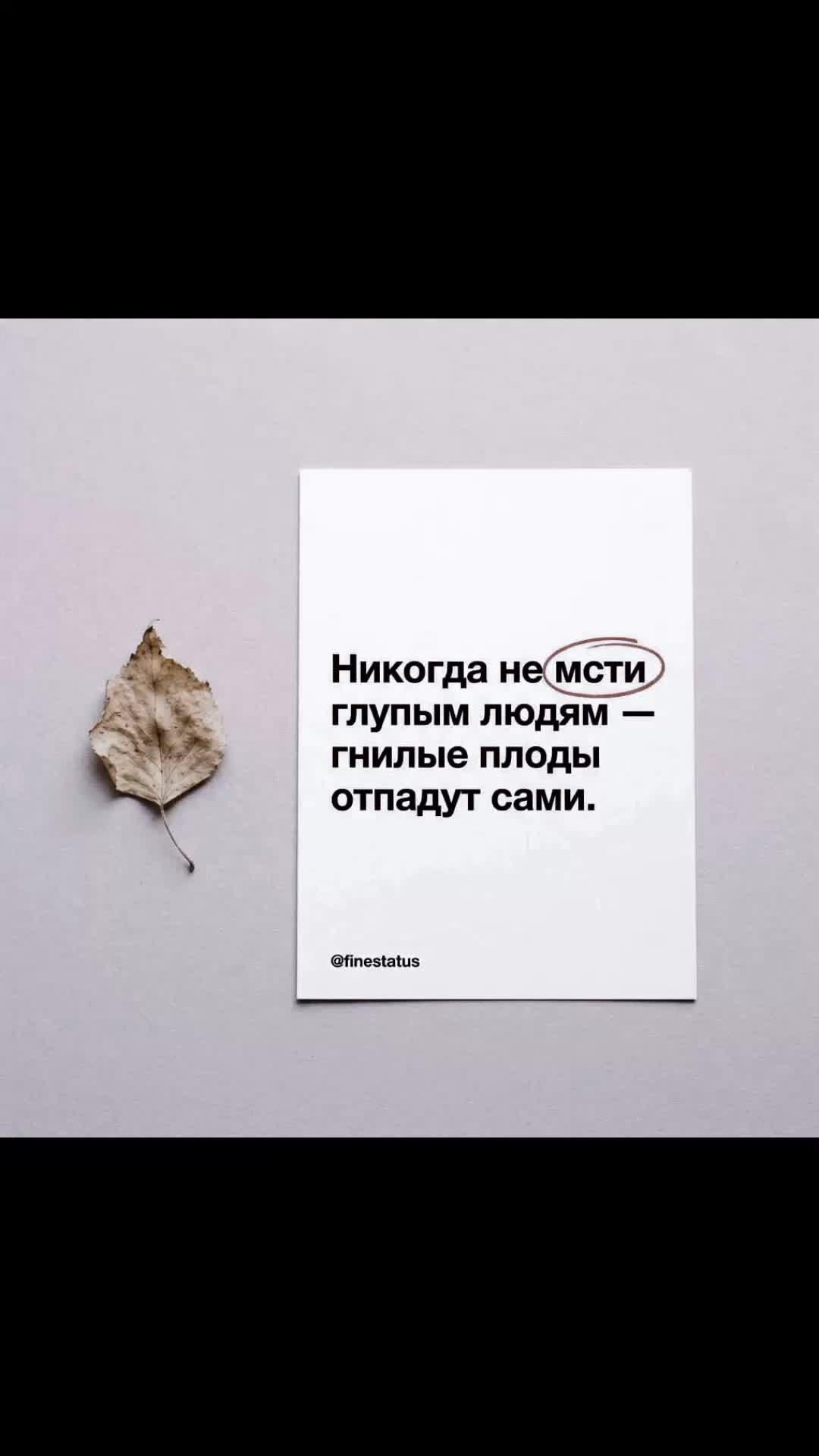 @статусы цитаты в картинках 🌹