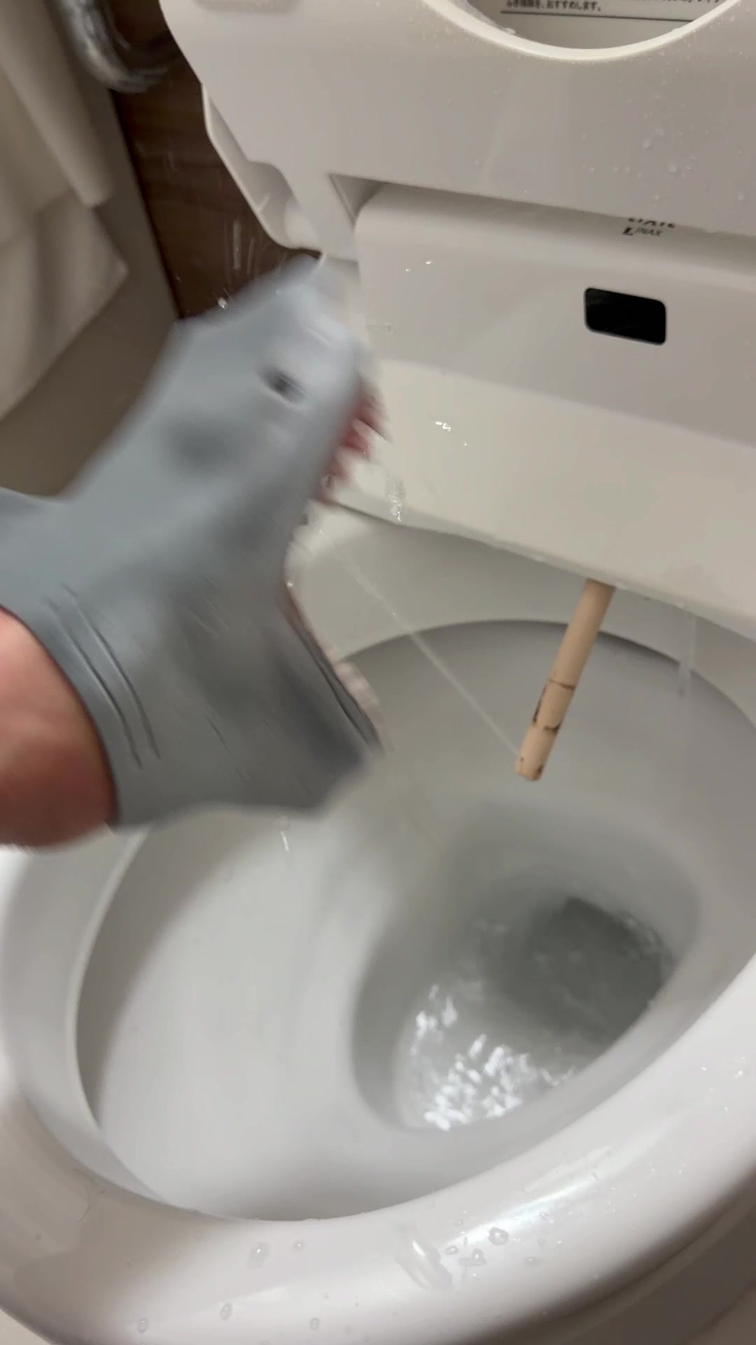 @the.shark.puppet
