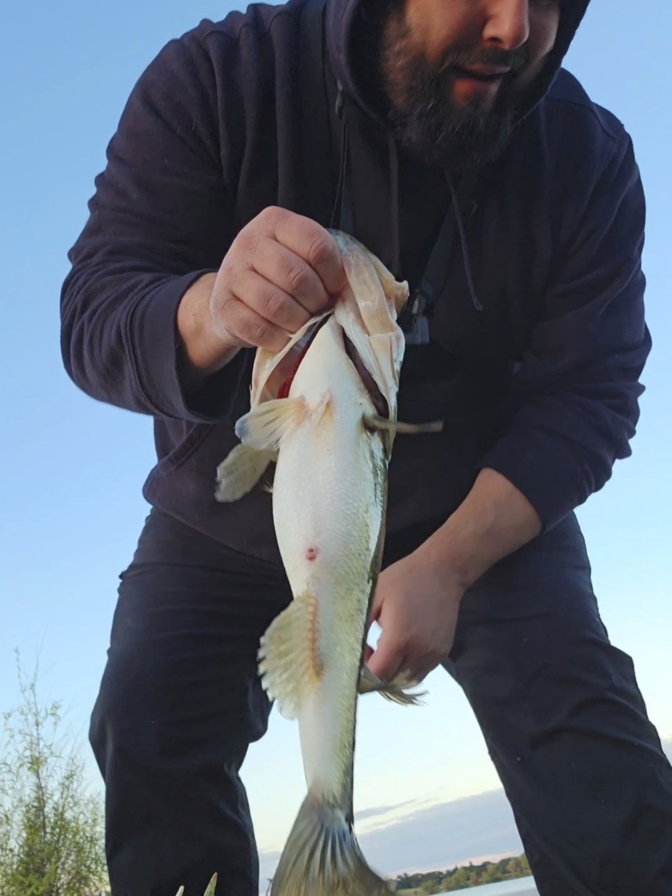 @SacPig Bait Co.