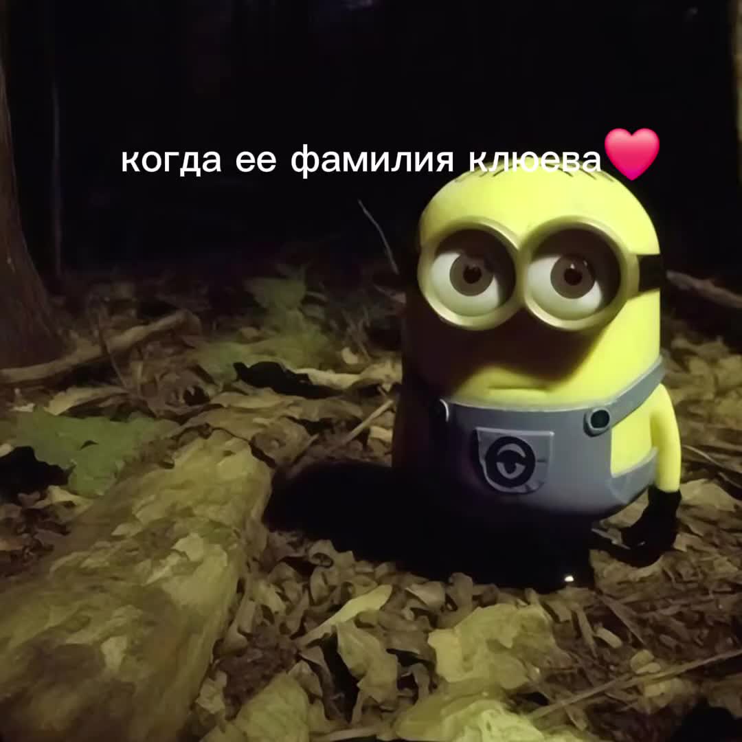 @vrozka228