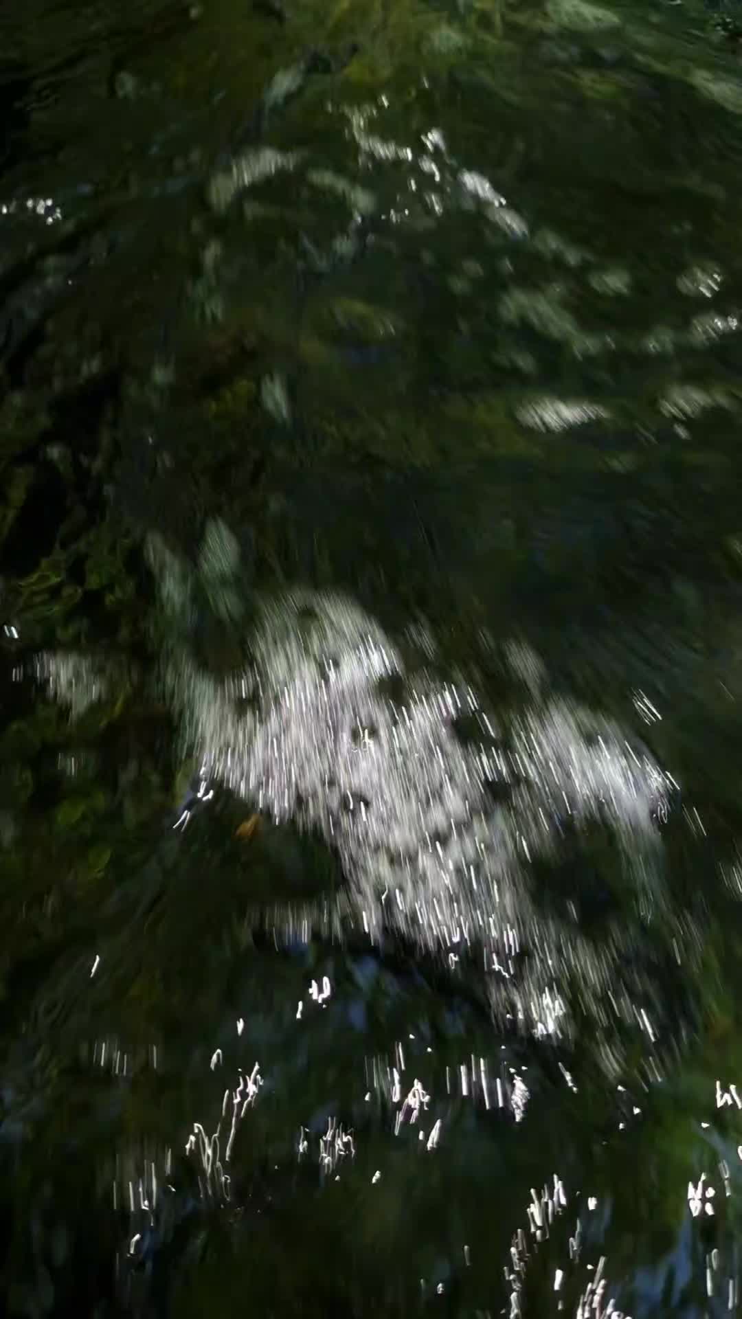 @Hüsi