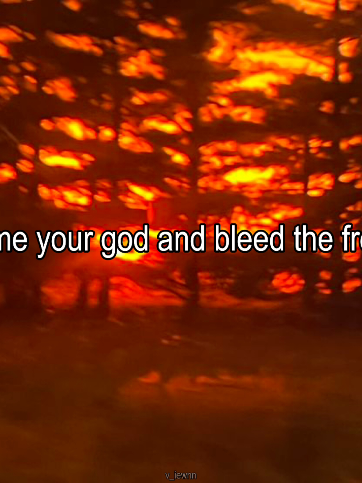 @𝓋𝒾ℯ𝓌𝒾𝓃'