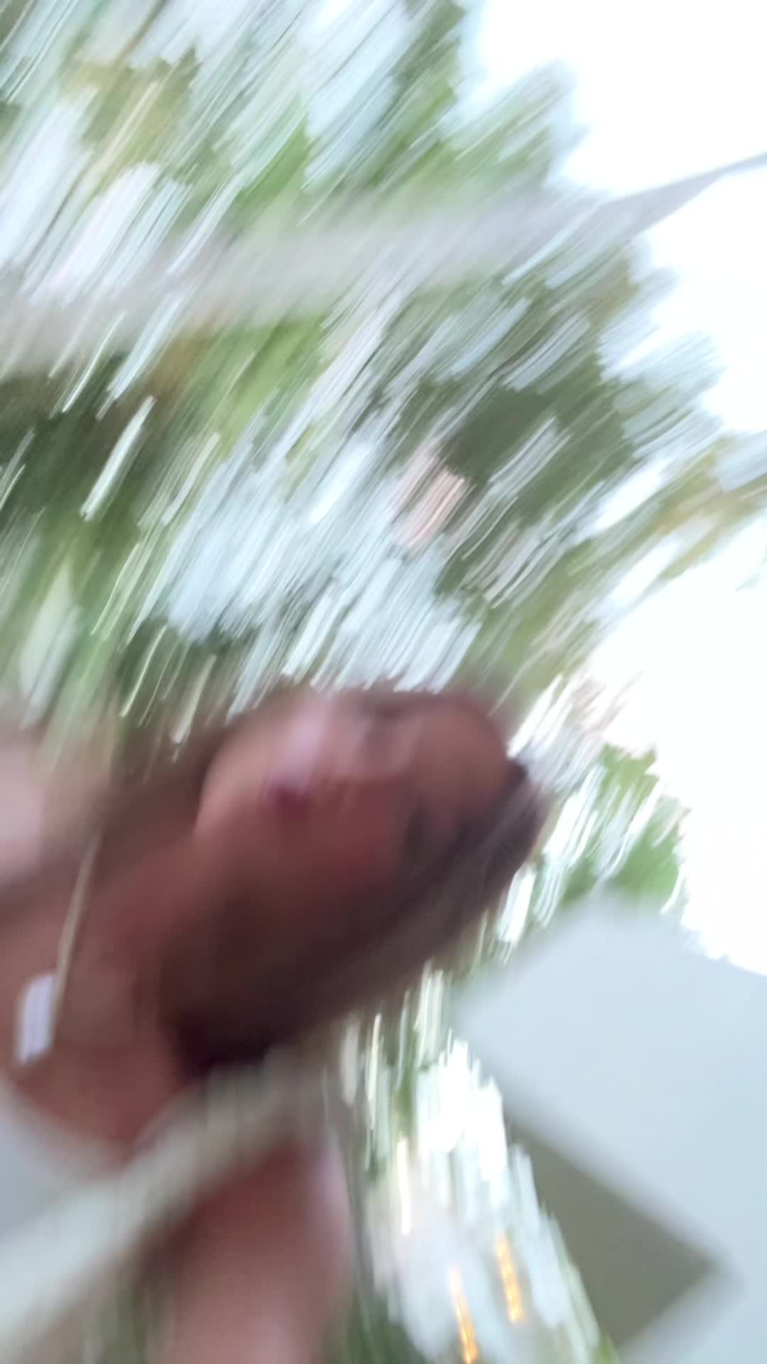 @Sofiaamaro