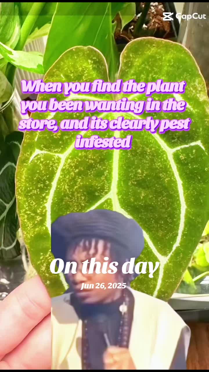 @💚🪴TrendyViews9232❌️
