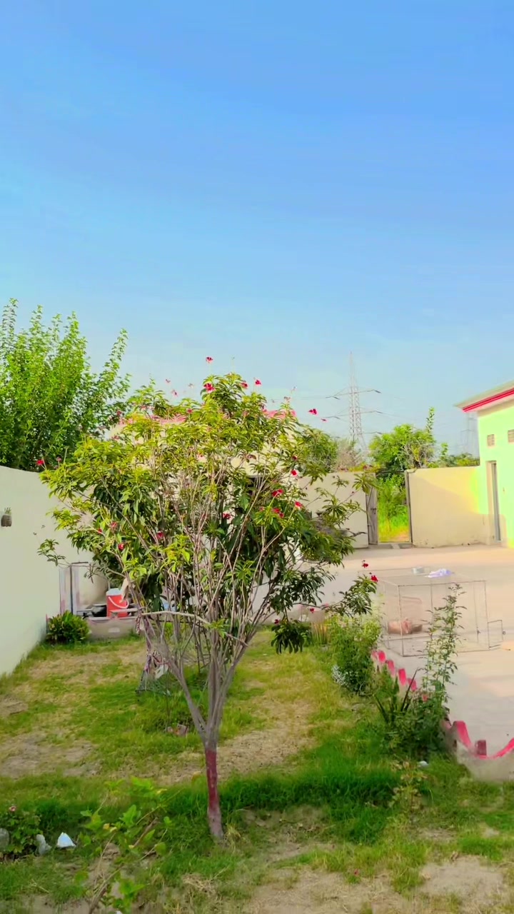 @ملک وسیم مجید تلوکر