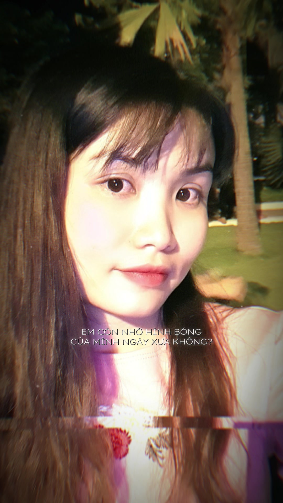 @gấu trúc