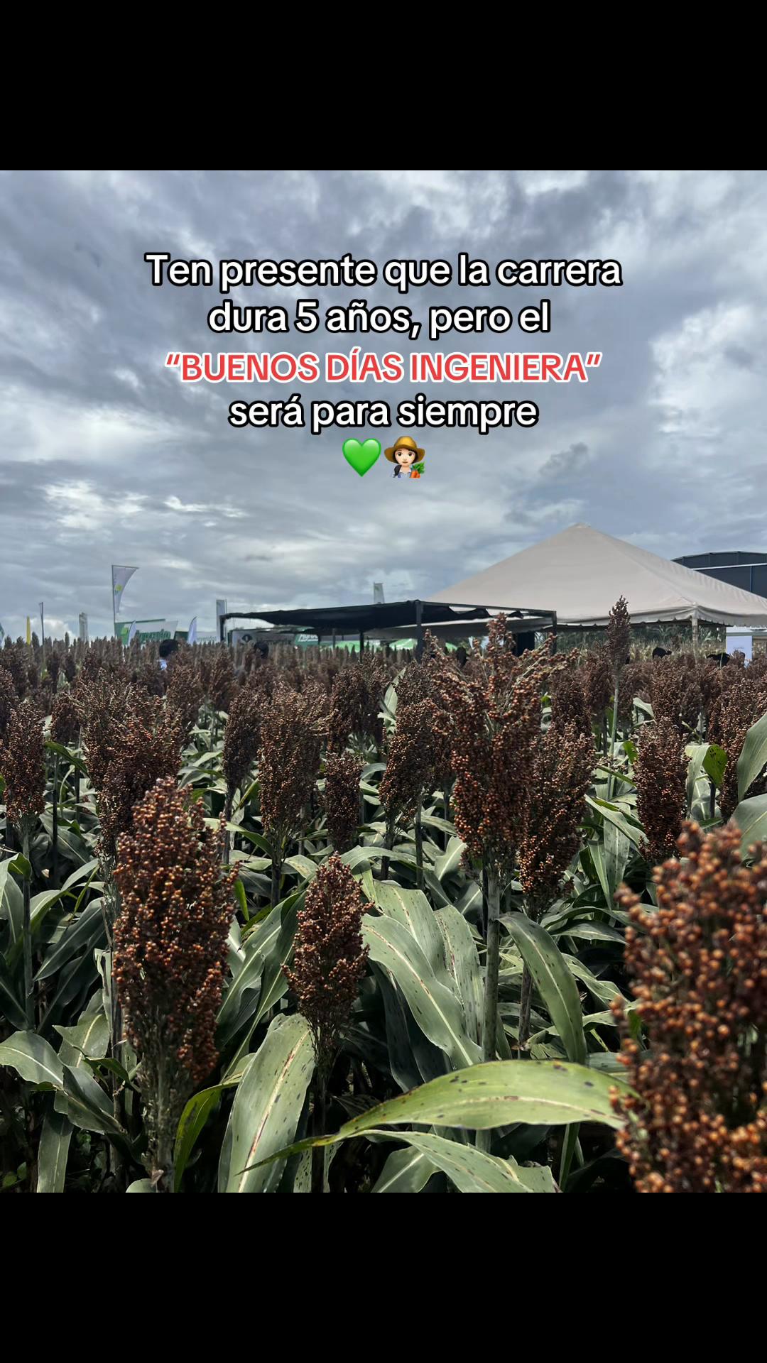 @Mayte Llanos