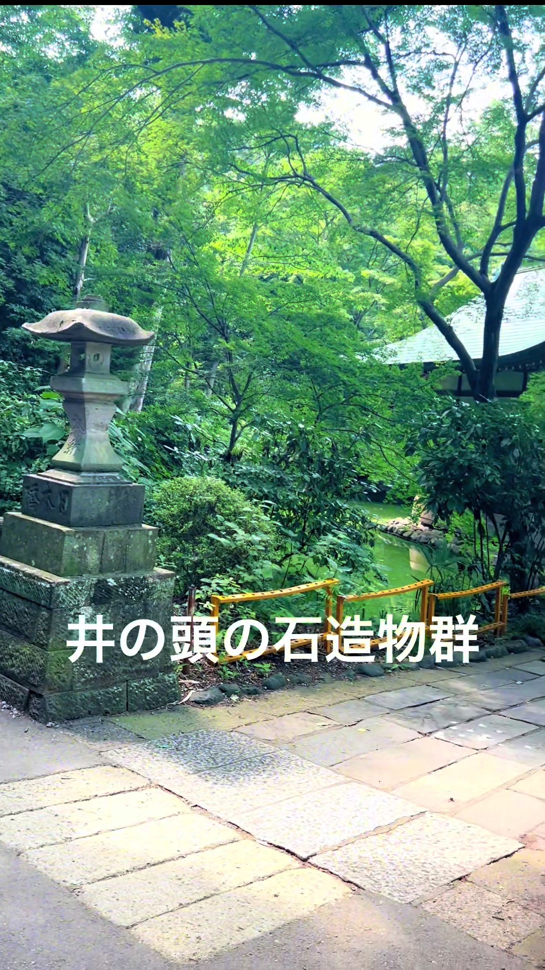 @h0shino_michishirube