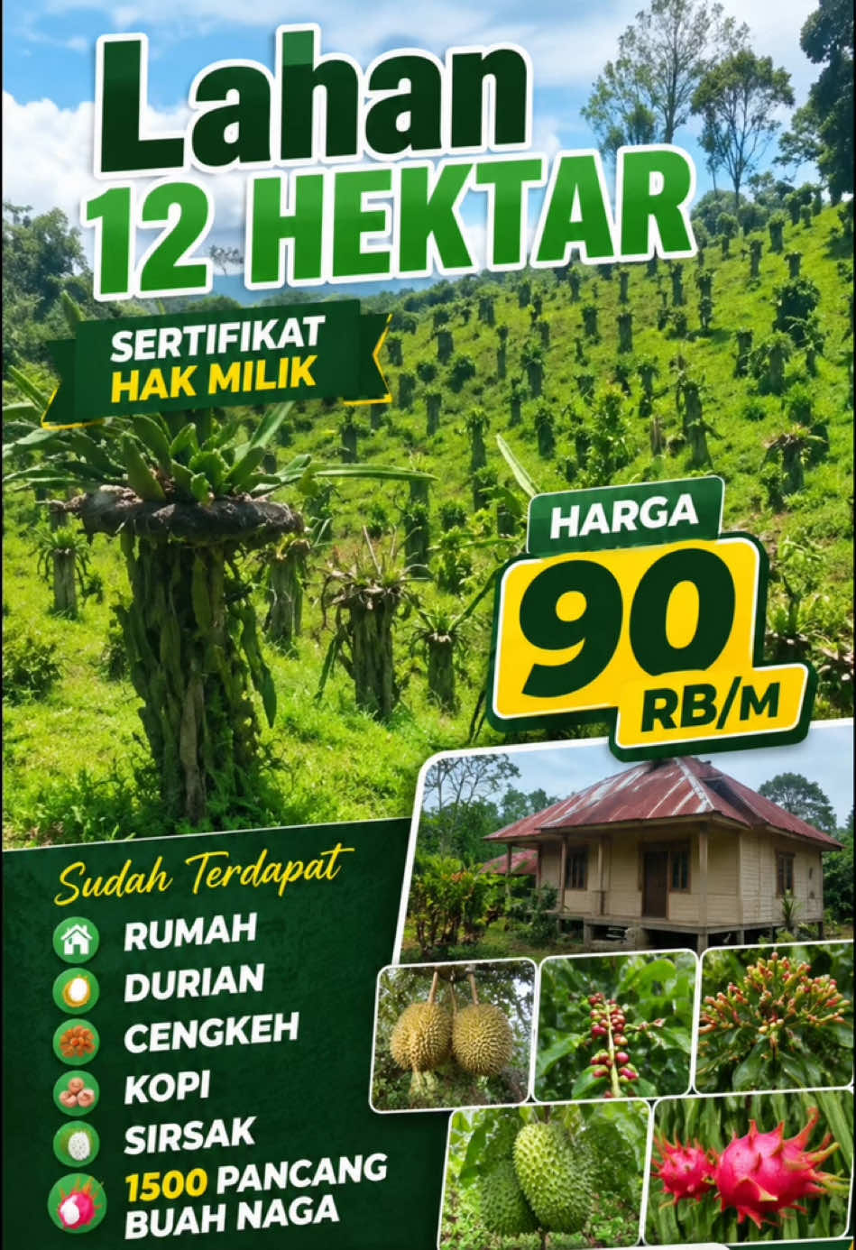 @Sumbar Property