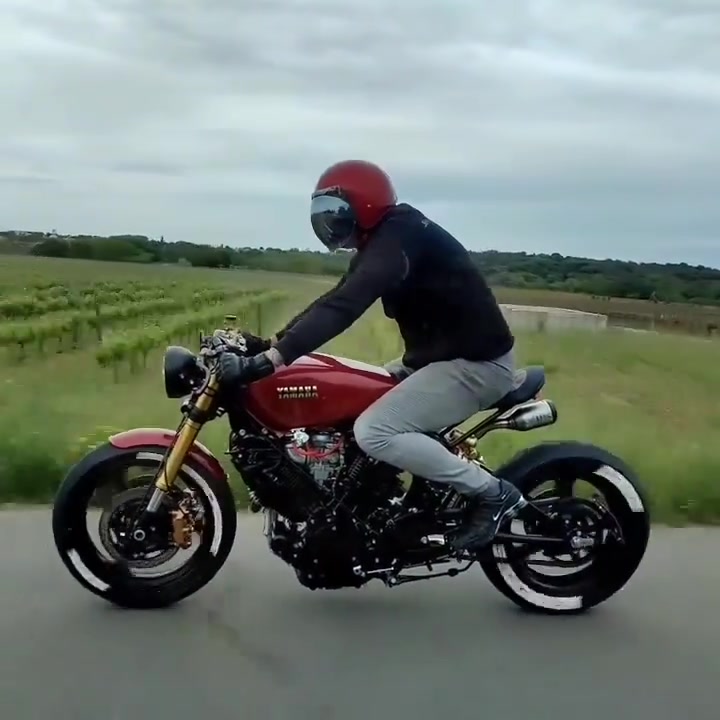 @adezaelani