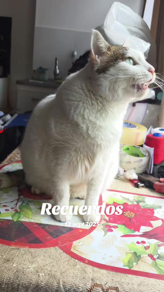 @Fernanda AqAr