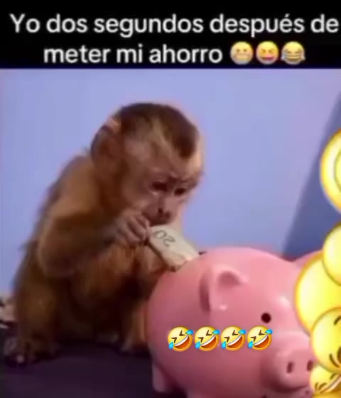@ℙ𝕣𝕚𝕤𝕔𝕚𝕝𝕒🥰❤️🙉🙈🍌