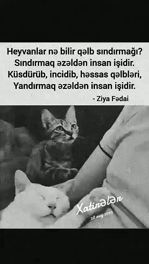@sensiz_.dunyam_.o22