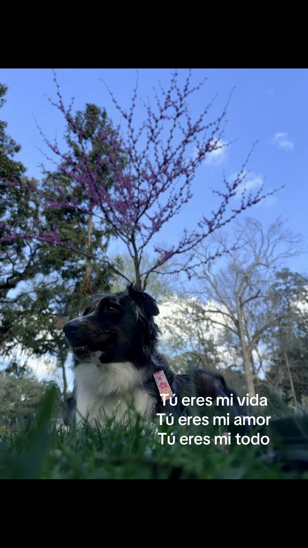 @Ale Castilla