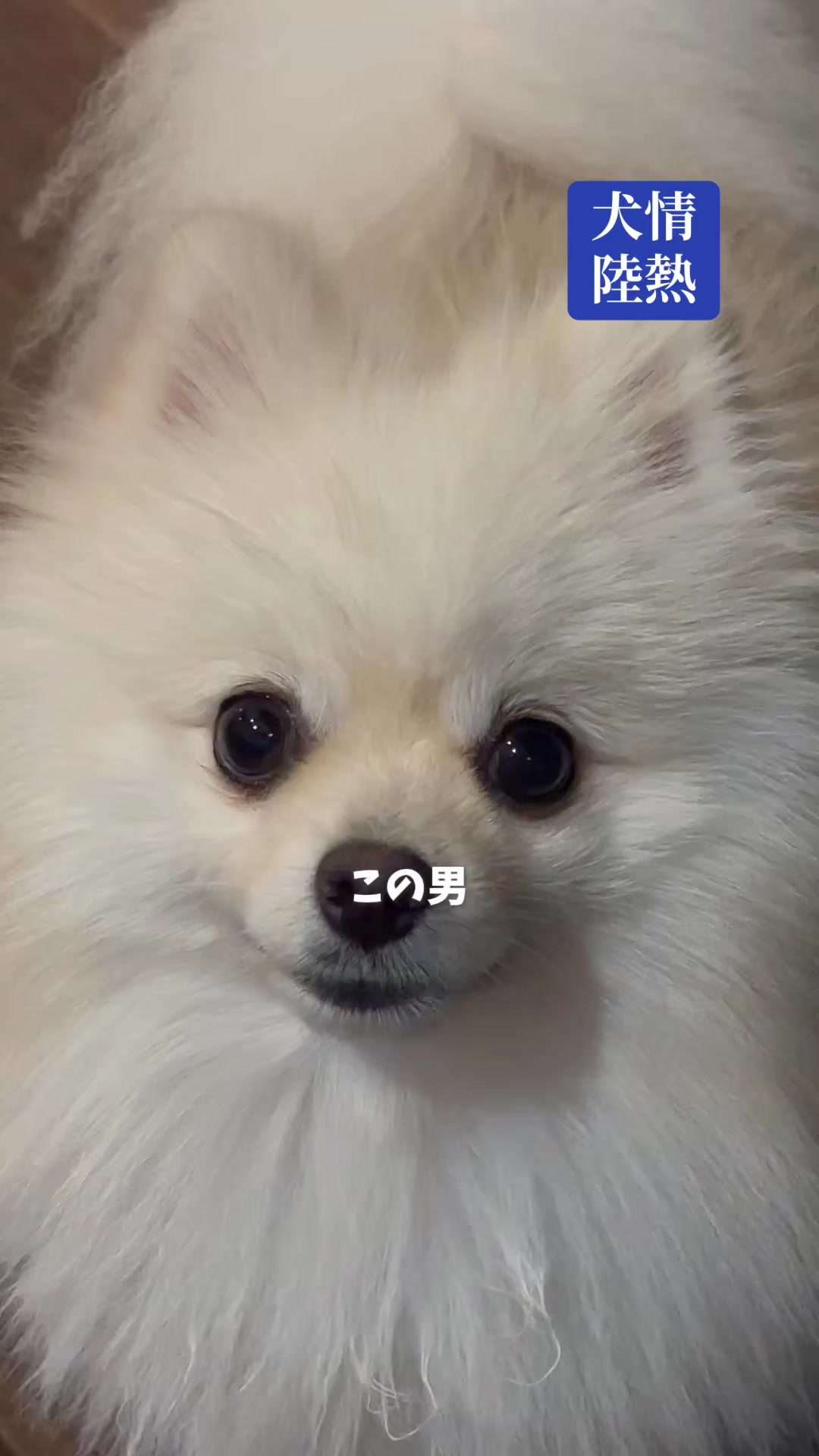 @孤独のサラリーマン5郎