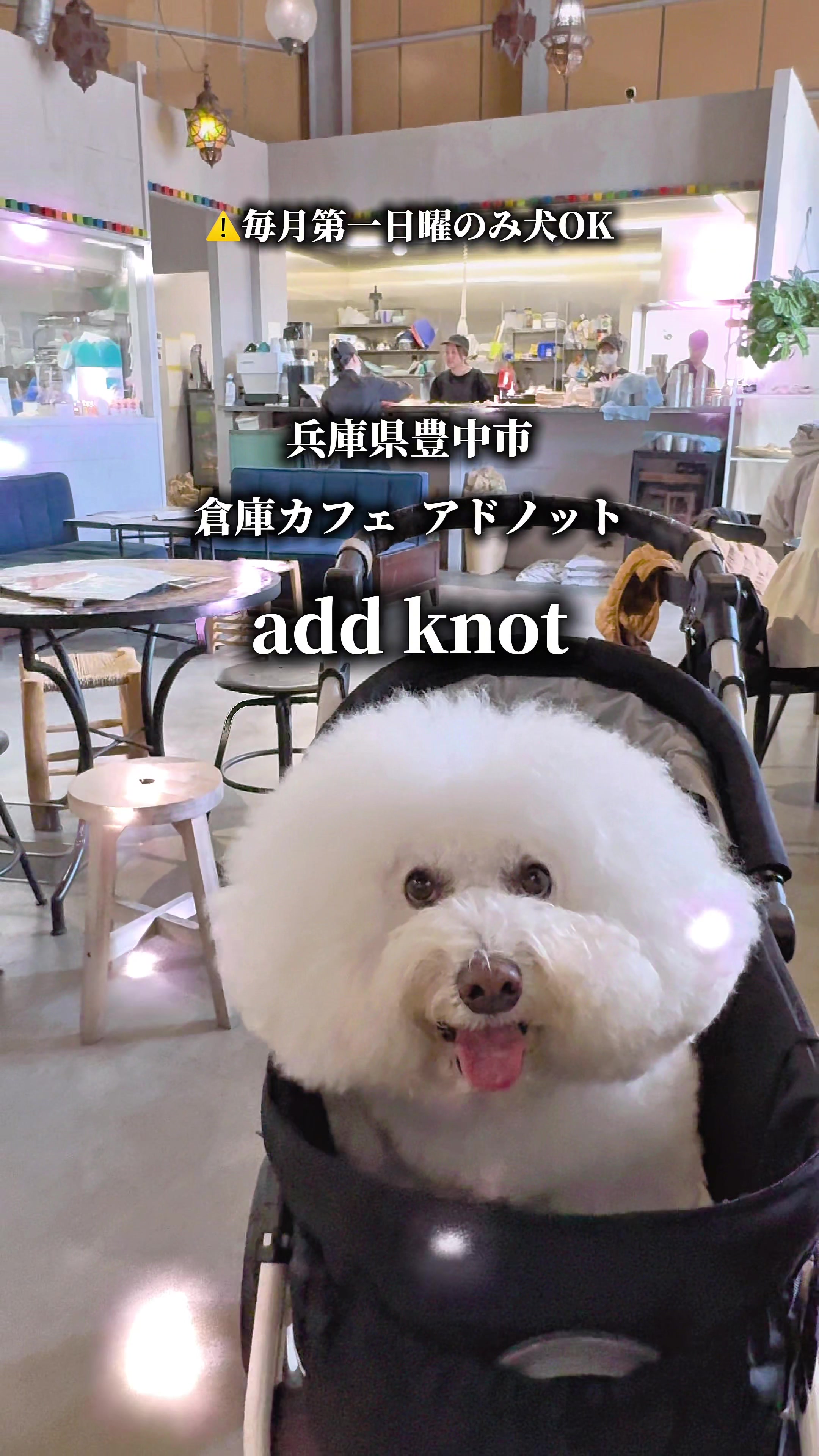 @コロン🐶