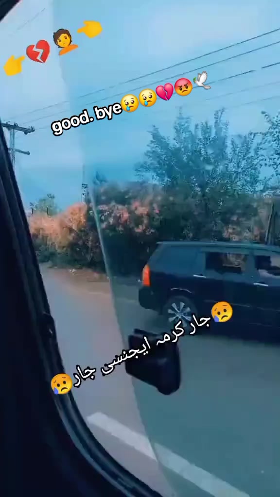 @Alina batool💔🕊🕊❣️