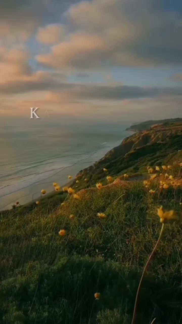 @ᦓꪀꫀꫝꪖ