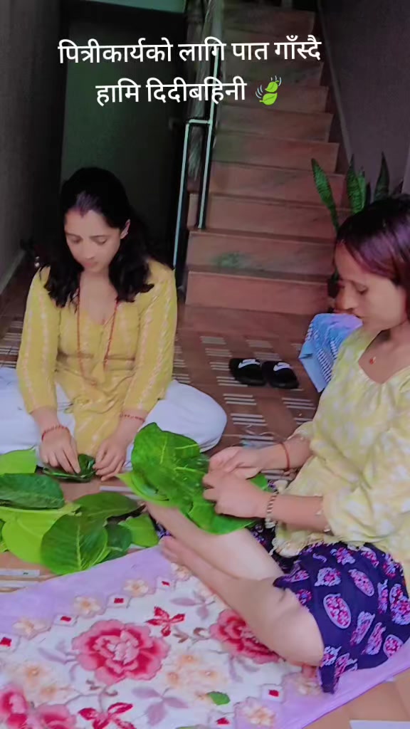 @263🧿🧿kaushilapokhrel