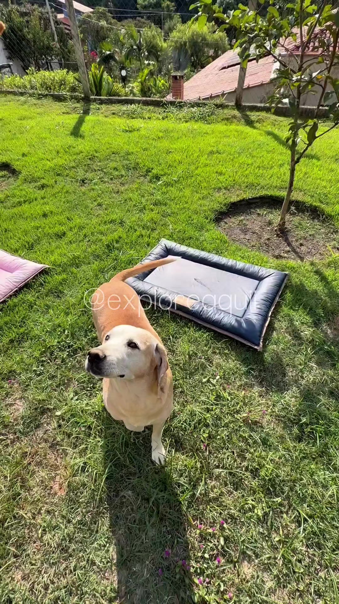 @Explore Aquii 🐾🐾✨️