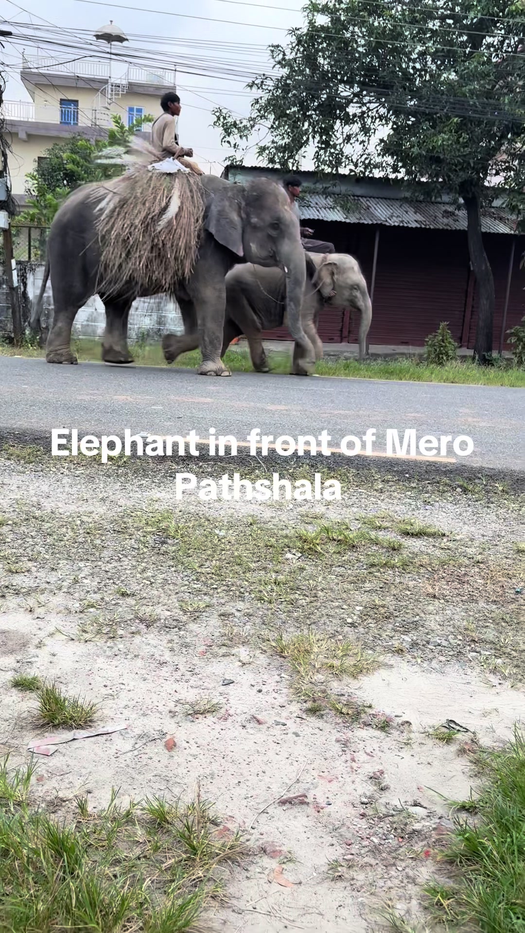 @Meropathshala