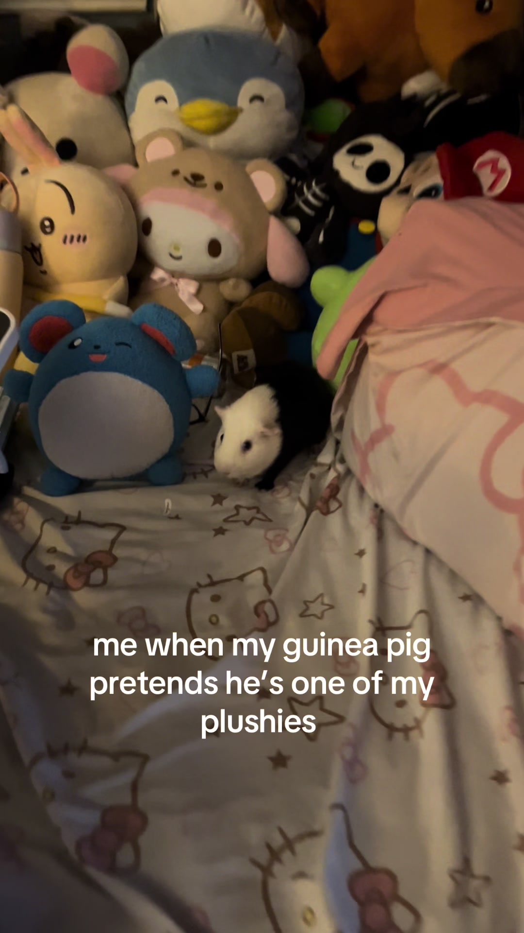 @dani🦇